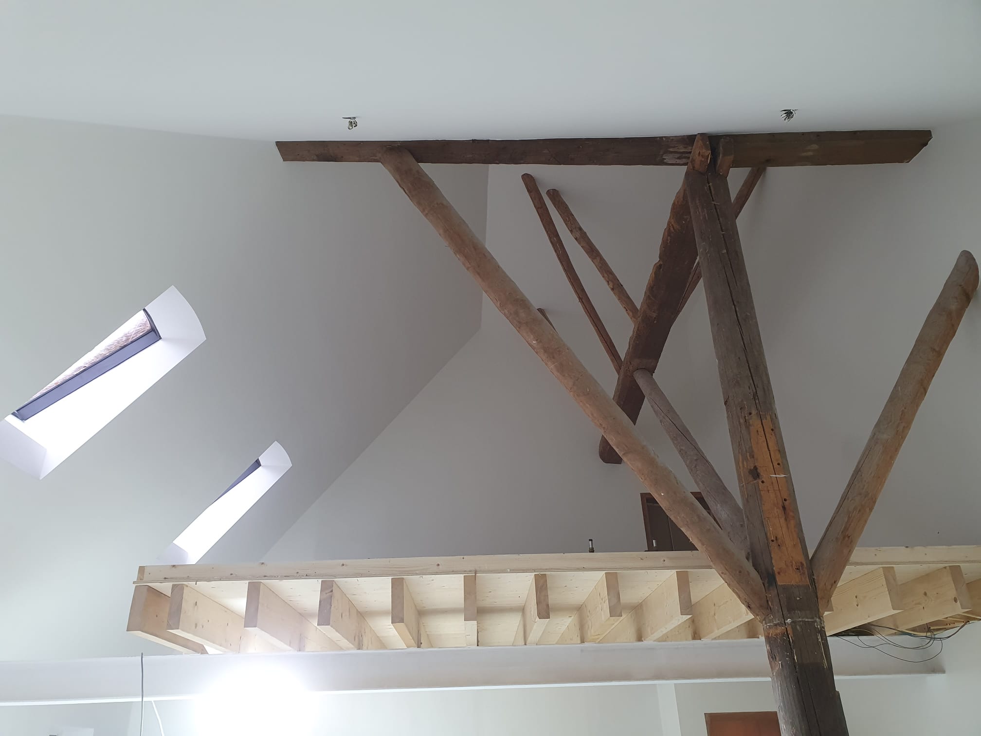 WhatsApp Image 2025-05-22 at 11.19.41